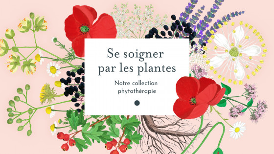 Se soigner par les plantes - Formation en phytothérapie (mensualisé)
