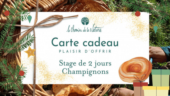 Carte cadeau • Stage 2 jours thème Champignon