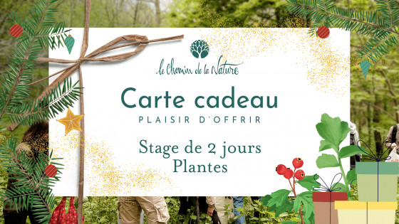 Carte cadeau • Stage 2 jours thème Plantes Sauvages