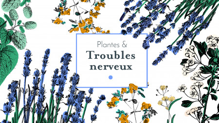 Plantes & troubles nerveux