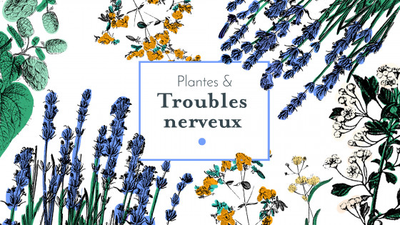 Plantes & troubles nerveux