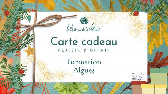 Carte cadeau • Formation Algues - Le Chemin de la Nature