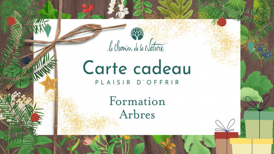 Carte cadeau • Formation Arbres et Cueillettes sauvage
