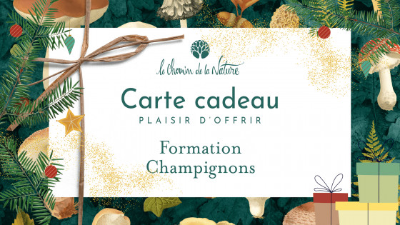 Carte cadeau • Formation Champignons en ligne : Reconnaître et Cueillir les Champignons