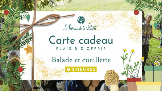 Carte cadeau • Balade en Nature de 2h + Cueillette de Plantes sauvages