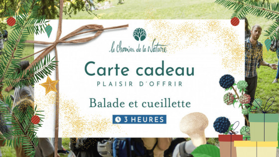 Carte cadeau • Promenade en Nature de 3h + Cueillette de Plantes sauvages