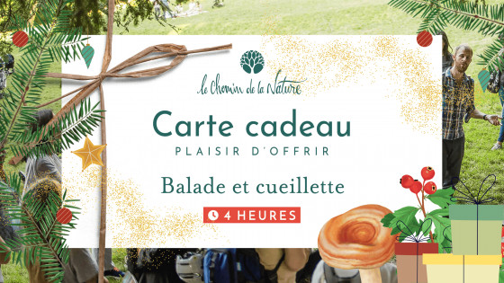Carte cadeau • Sortie en Nature de 4h + Cueillette de Plantes sauvages
