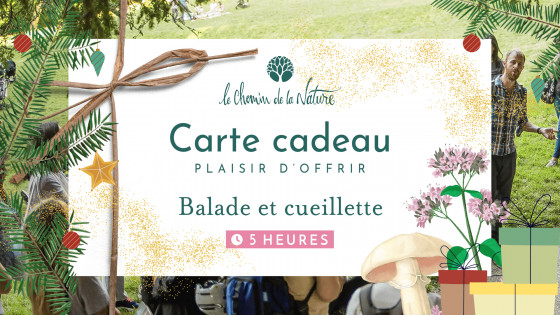 Carte cadeau • Excursion en Nature de 5h + Cueillette de Plantes sauvages