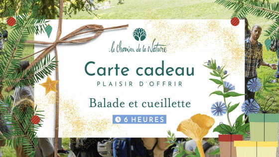 Carte cadeau • Randonnée en Nature de 6h + Cueillette de Plantes sauvages