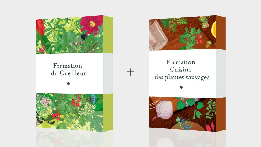 Pack Formation du Cueilleur + Formation Cuisine des plantes sauvages (mensualisé) Pack Formation du Cueilleur + Formation Cuisine des plantes sauvages (mensualisé)