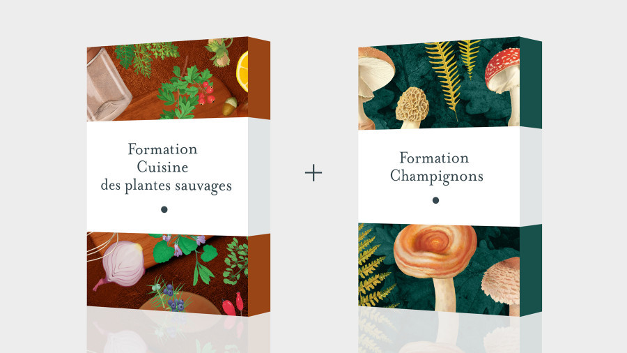 Pack Formation Cuisine des plantes sauvages et Formation Champignons (mensualisé) Pack Formation Cuisine des plantes sauvages et Formation Champignons (mensualisé)