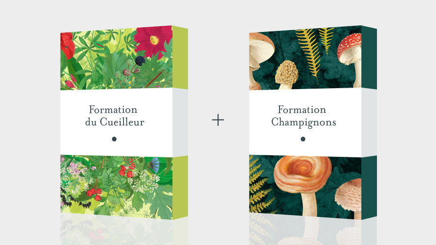 Pack Formation du Cueilleur + Formation Champignons (mensualisé) Pack Formation du Cueilleur + Formation Champignons (mensualisé)