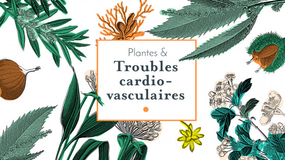 Plantes & troubles...