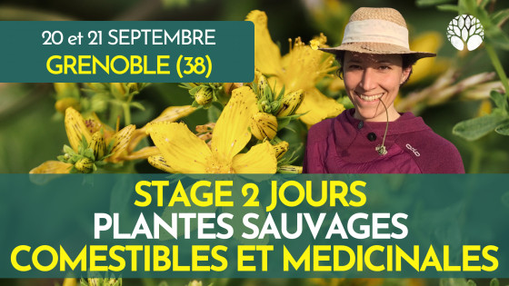 stage-plantes-sauvages-mathilde-20-21-septembre-2025-plein-tarif