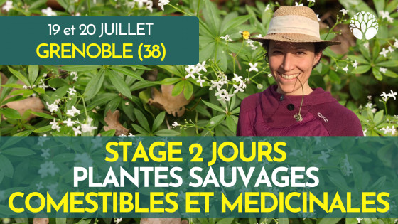 stage-plantes-sauvages-mathilde-19-20-juillet-2025-plein-tarif