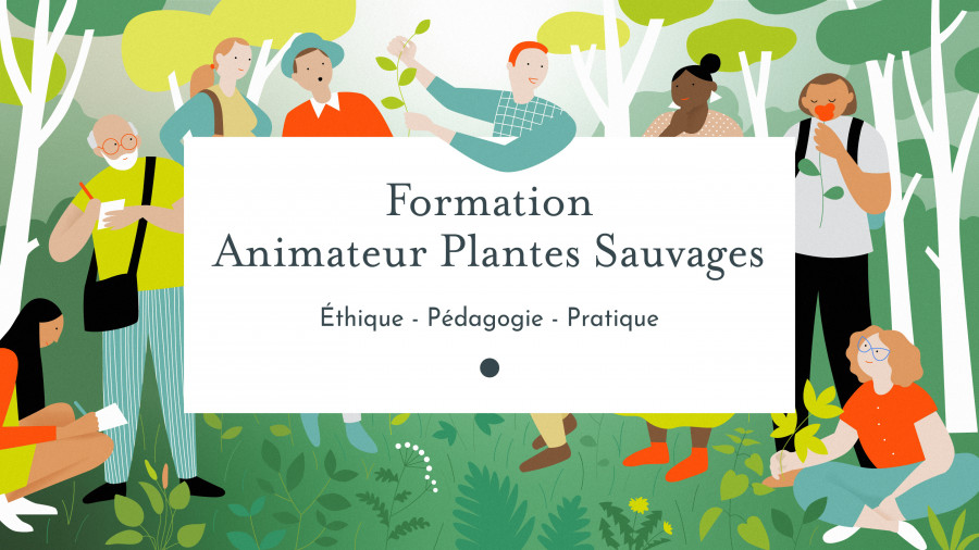 Formation animateur plantes sauvages comestibles et médicinales du Chemin de la Nature