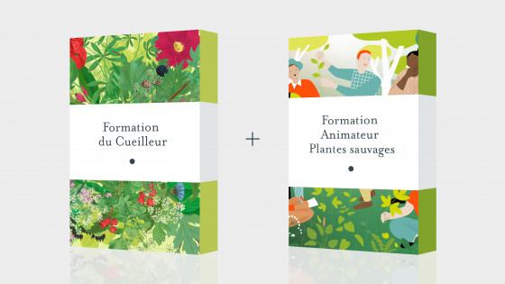 Pack Formation Cueilleur + Formation animateur plantes sauvages - Formation en ligne