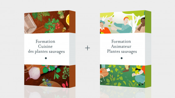Pack Formation Cuisine des plantes sauvages + Formation animateur plantes sauvages - Formation en ligne