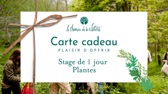 Carte cadeau • Stage 1 jour thème Plantes Sauvages