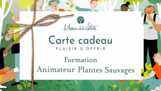 Carte cadeau • Formation Animateur plantes sauvages