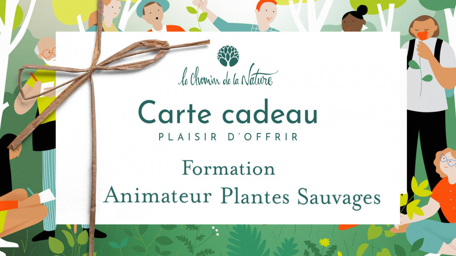 Carte cadeau • Formation Animateur plantes sauvages