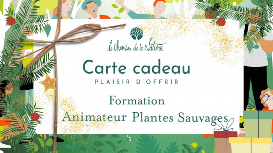 Carte cadeau • Formation Animateur plantes sauvages