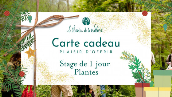 Carte cadeau • Stage 1 jour thème Plantes Sauvages