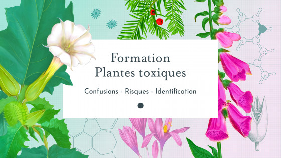 Formation plantes toxiques