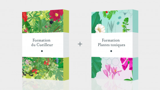 Pack Formation Cueilleur + Plantes toxiques - Formation en ligne