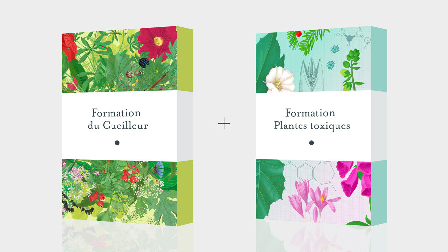 Pack Formation Cueilleur + Plantes toxiques - Formation en ligne