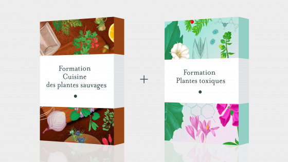 Pack Formation Cuisine des plantes sauvages + Plantes toxiques - Formation en ligne