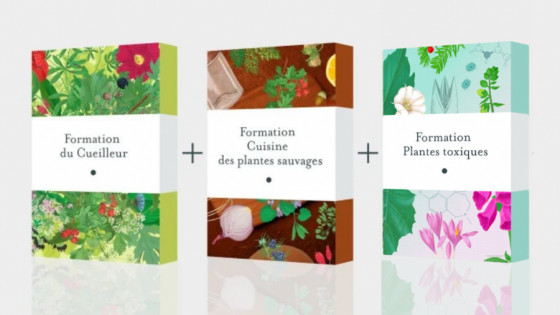 Pack maîtrise des plantes sauvages : cueillette, usages et transmission - Formation en ligne