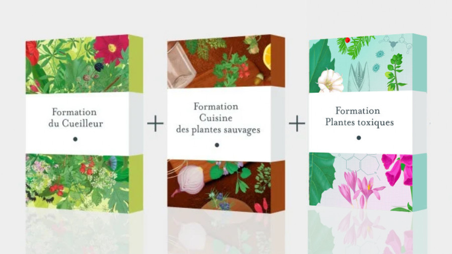 Pack maîtrise des plantes sauvages : cueillette, usages et transmission - Formation en ligne