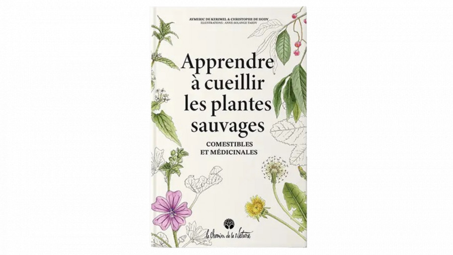 Apprendre à cueillir les plantes sauvages comestibles et médicinales