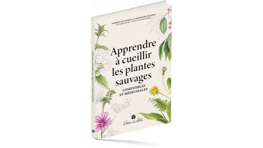 Apprendre à cueillir les plantes sauvages comestibles et médicinales