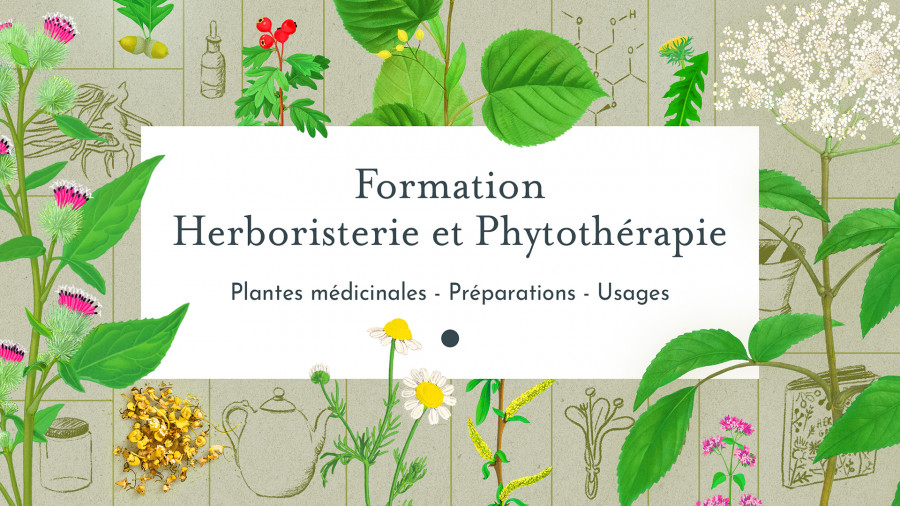 Formation herboristerie et phytothérapie du Chemin de la Nature