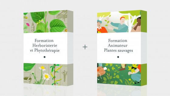 Pack Formation herboristerie et phytothérapie + Formation animateur des plantes sauvages
