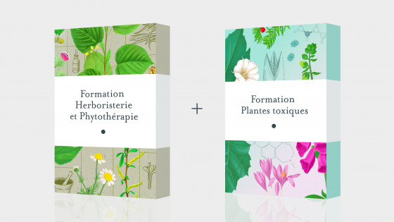 Pack Formation herboristerie et phytothérapie + Formation plantes toxiques