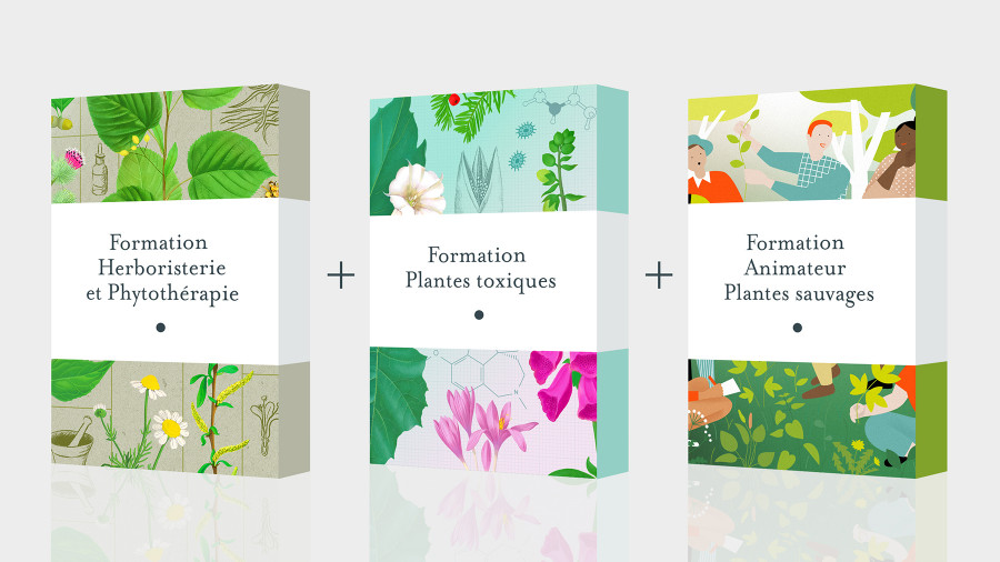 Pack 3 formations : Herboristerie - Plantes toxiques - Animation