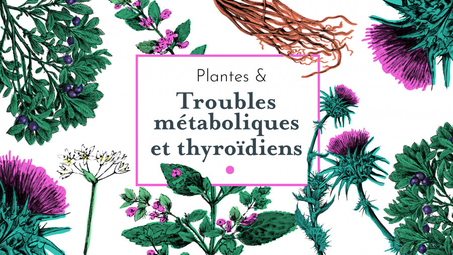 Plantes & troubles métaboliques et thyroïdiens
