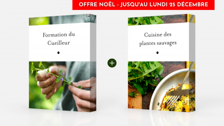 Pack Formation du Cueilleur + Formation Cuisine des plantes sauvages