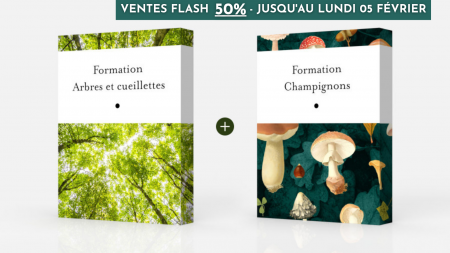 Pack Formation Arbres + Formation Champignons