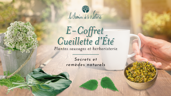 E-coffret • Cueillette d'Été