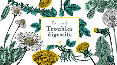 Plantes & troubles digestifs