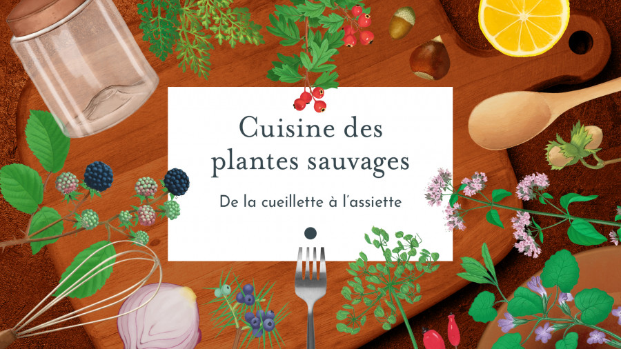 Formation Cuisine des Plantes Sauvages du Chemin de la Nature