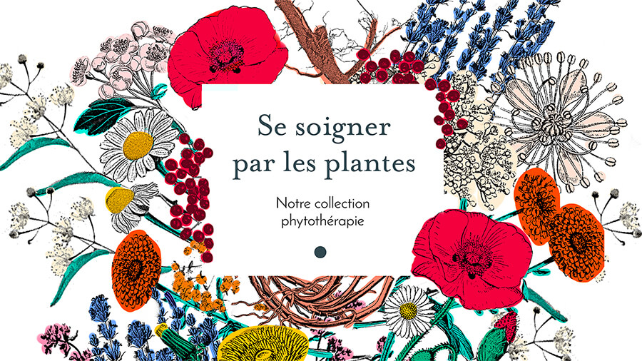 visuel-accueil_sspp.jpg