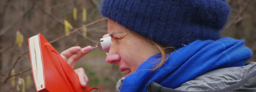 Stage botanique - plantes sauvages comestibles et médicinales - Fontainebleau