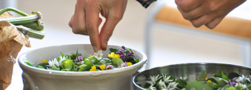 Stage cuisine de plantes sauvages - Fontainebleau