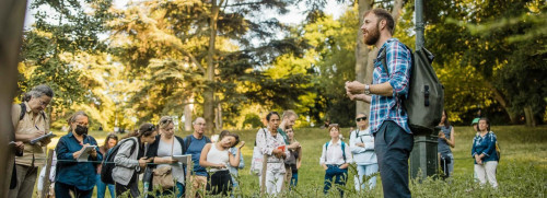 Stage 1 jour plantes sauvages comestibles et médicinales - Vincennes