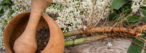 Stage plantes médicinales avec préparation de remèdes